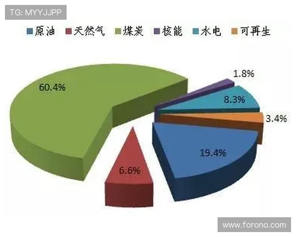 上海排球队转型之路的挑战与机遇全景分析 上海排球队转型之路的挑战与机遇全景分析